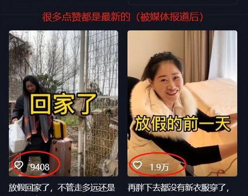 安静保姆爆料视频,揭秘安静家庭背后的秘密  第1张